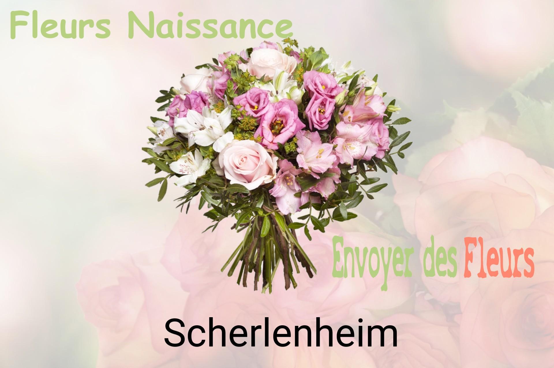 Bouquet de fleurs de naissance livré à Scherlenheim